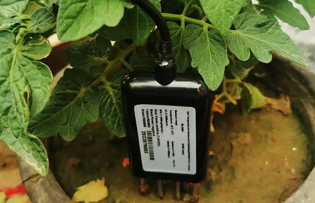 Soil Conductivity Sensor