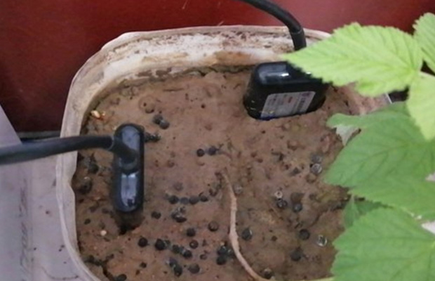 Soil PH Sensor
