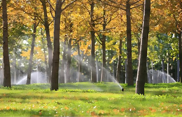 Underground Rotary Sprinkler