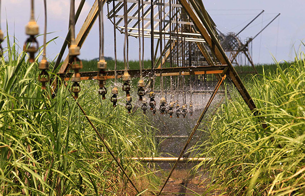 ‌Micro-spray Irrigation Precision Twister Sprinkler