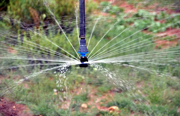 ‌Micro-spray Irrigation Precision Twister Sprinkler